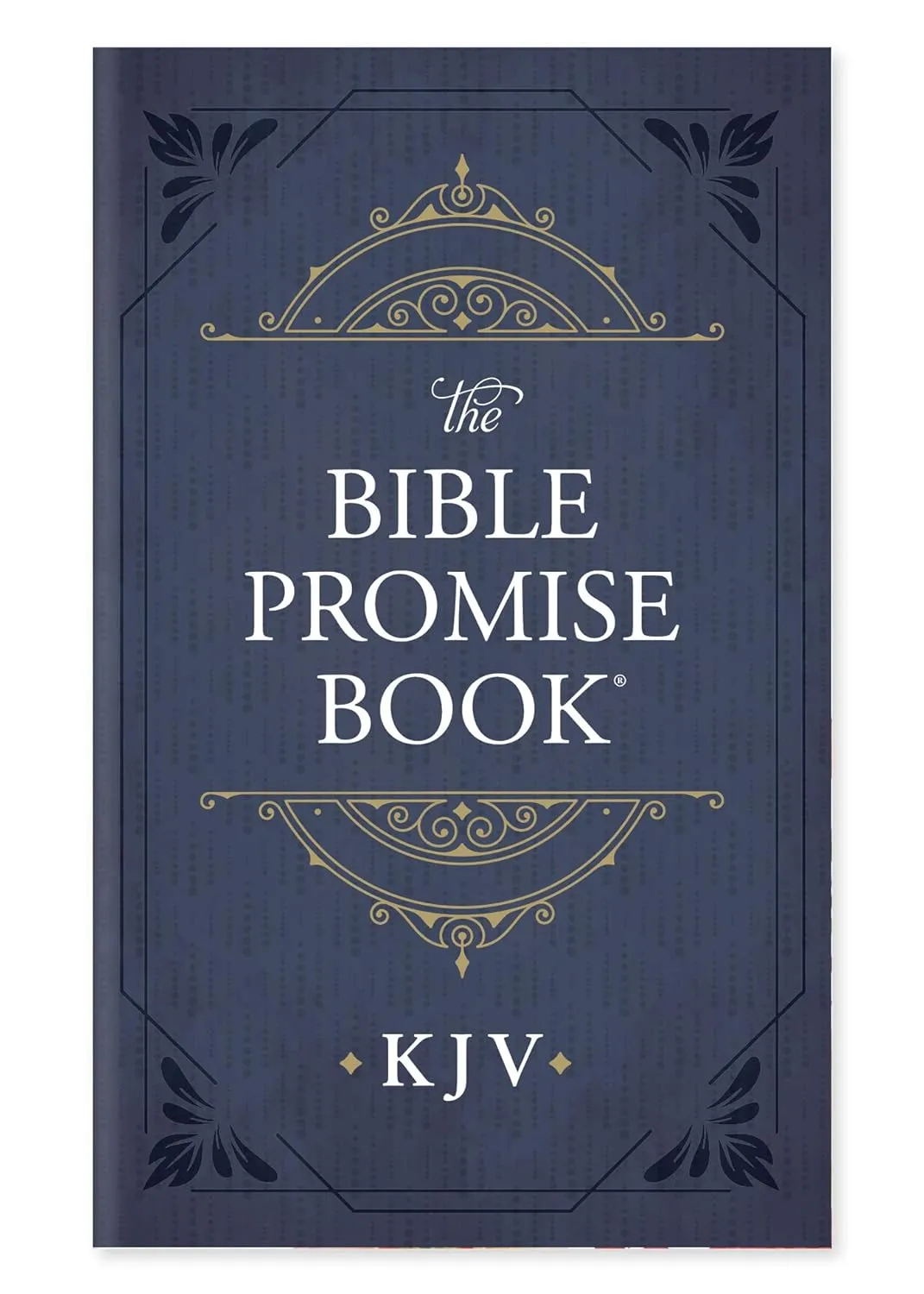 The Bible Promise Book - KJV Paperback  September 1, 2021